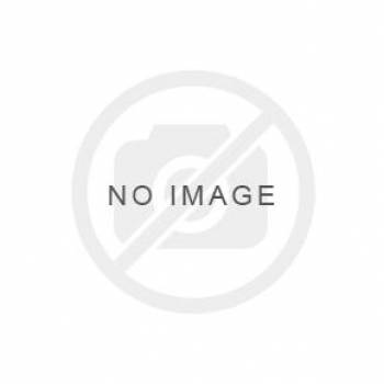 Canon imagePROGRAF PRO-1100 A2 Printer with 12-inks